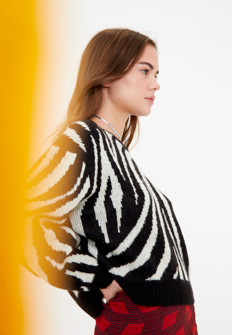 Sweater zebra hotsell